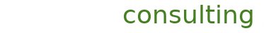mjf-it-consulting